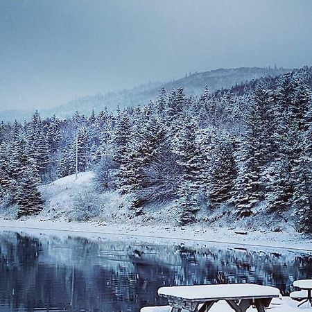 St Ann'S Motel & Cottage Baddeck Inlet Exterior foto